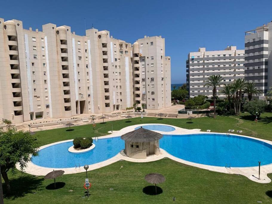 Apartamento - Playa El Campello Urbanizacion Jardin Del Mar Exterior foto